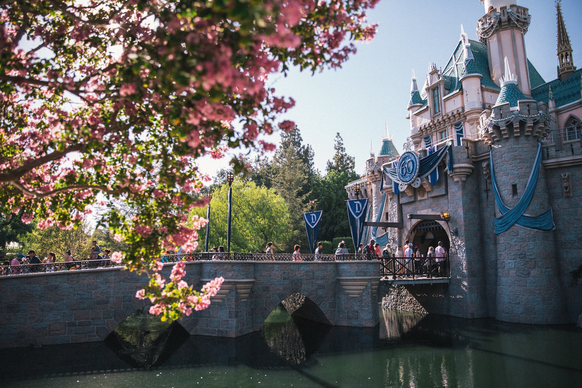 Why Choose Us? Image of Disneyland Castle