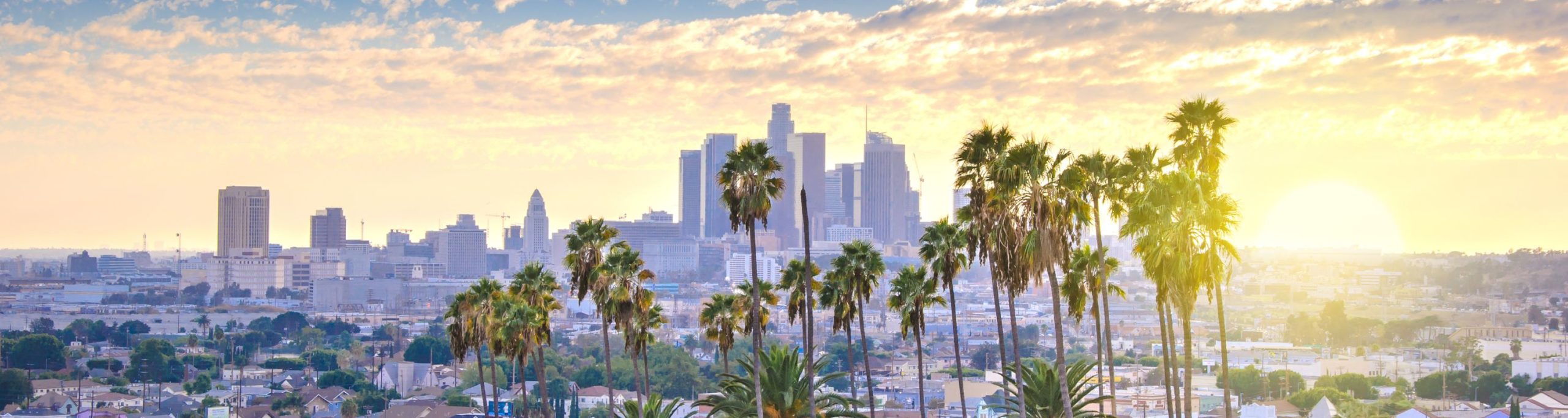 Attractions in Los Angeles Image of Los Angeles Skyline